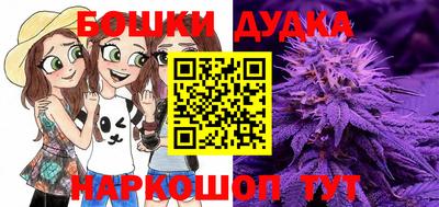 мдпв Пенза