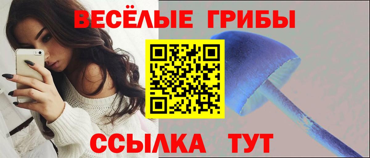 Галлюциногенные грибы ЛСД Славгород