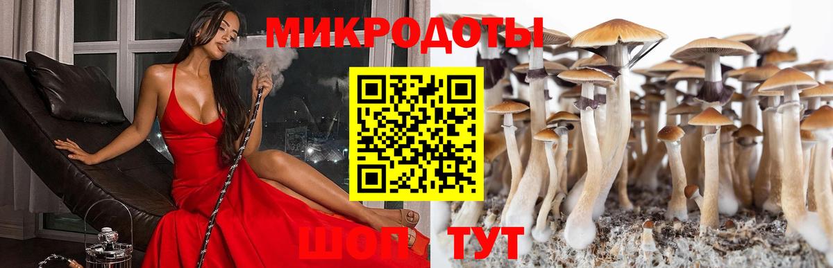 Славгород  Галлюциногенные грибы мицелий  Вход с VPN  Псилоцибиновые грибы мицелий 